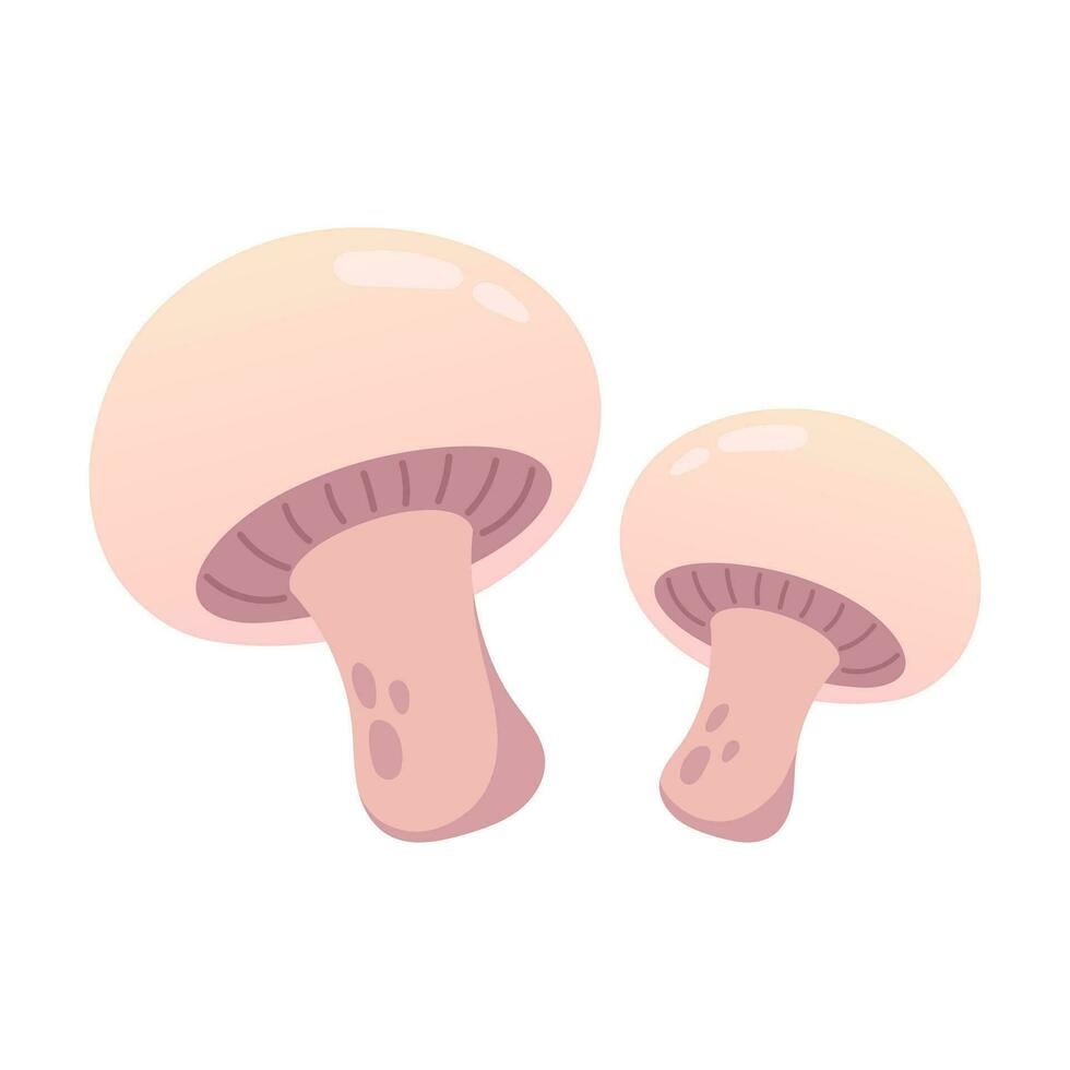 Mushroom illustration isolated on white background vector