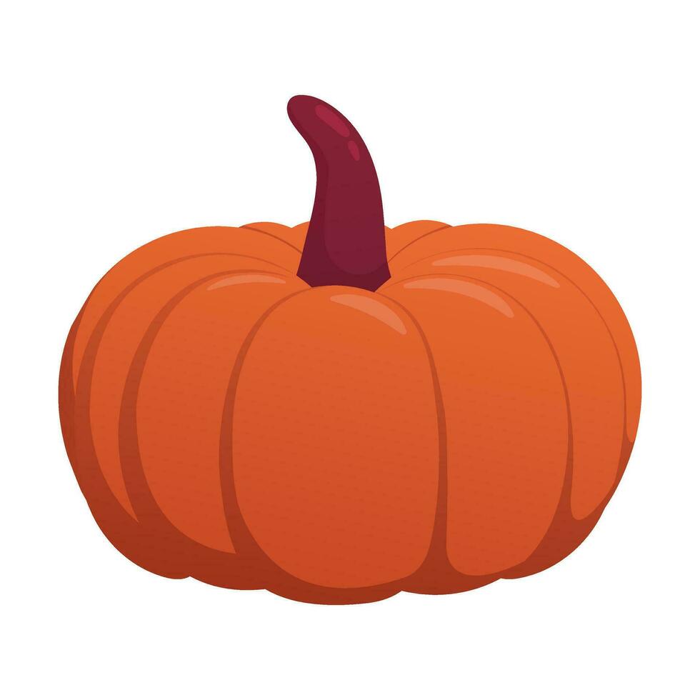 calabaza aislada en blanco vector