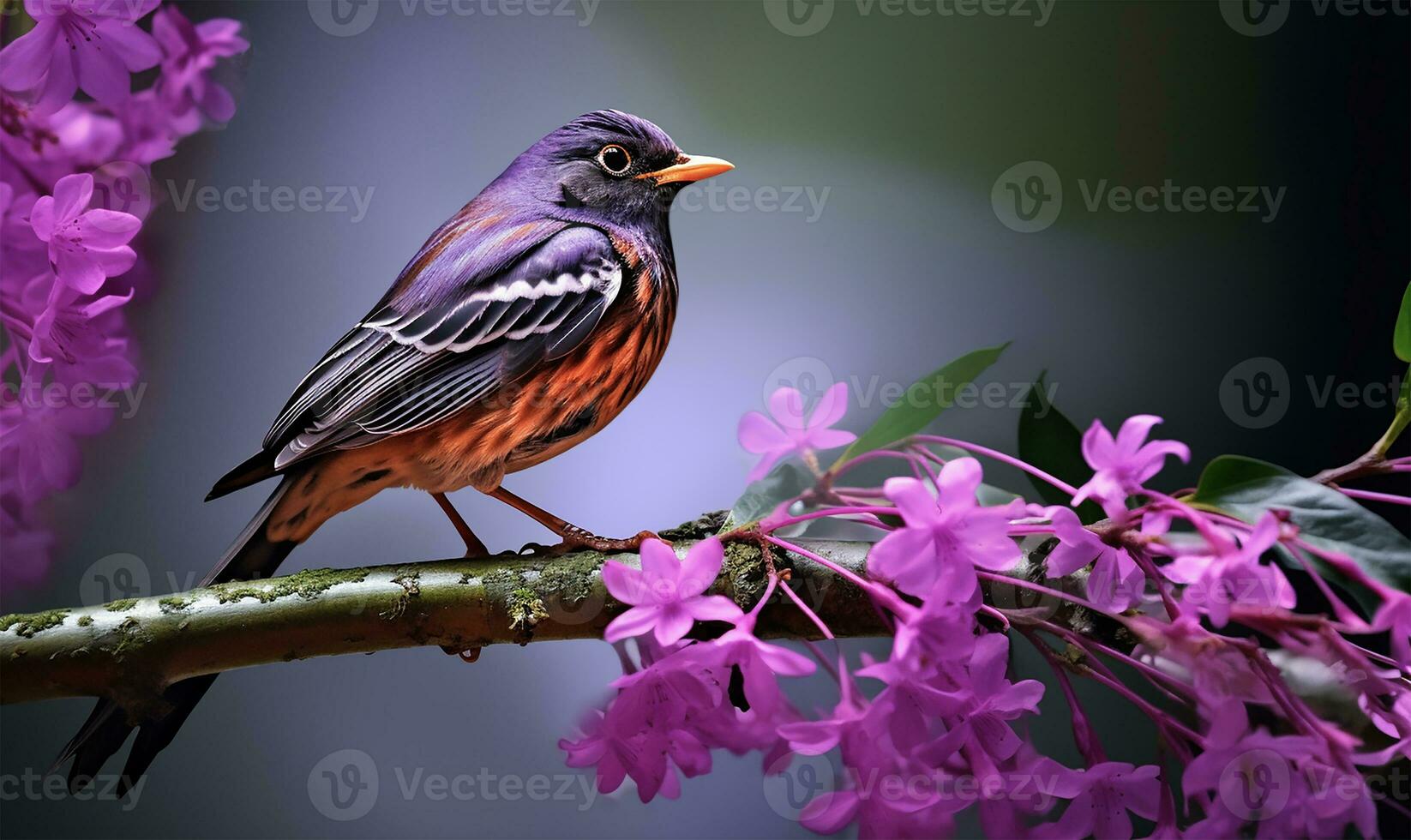 Robin pájaro en primavera temporada en un árbol rama cubierto con púrpura flores ai generado foto