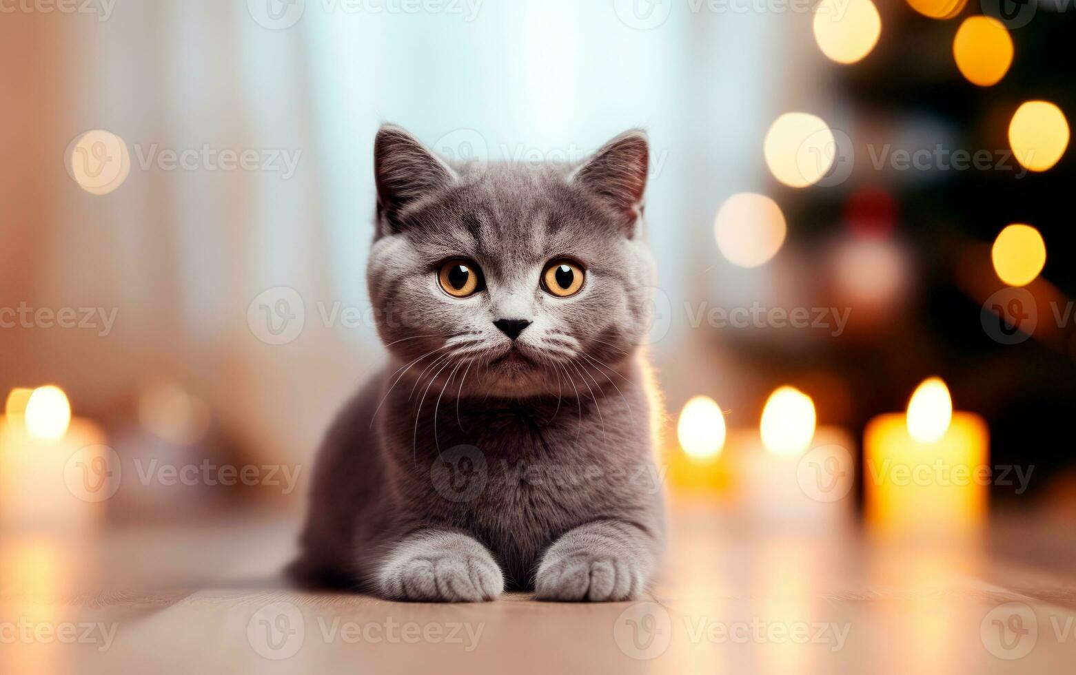 Cute scottish fold cat against blurred Christmas lights and copy space. Generate AI photo