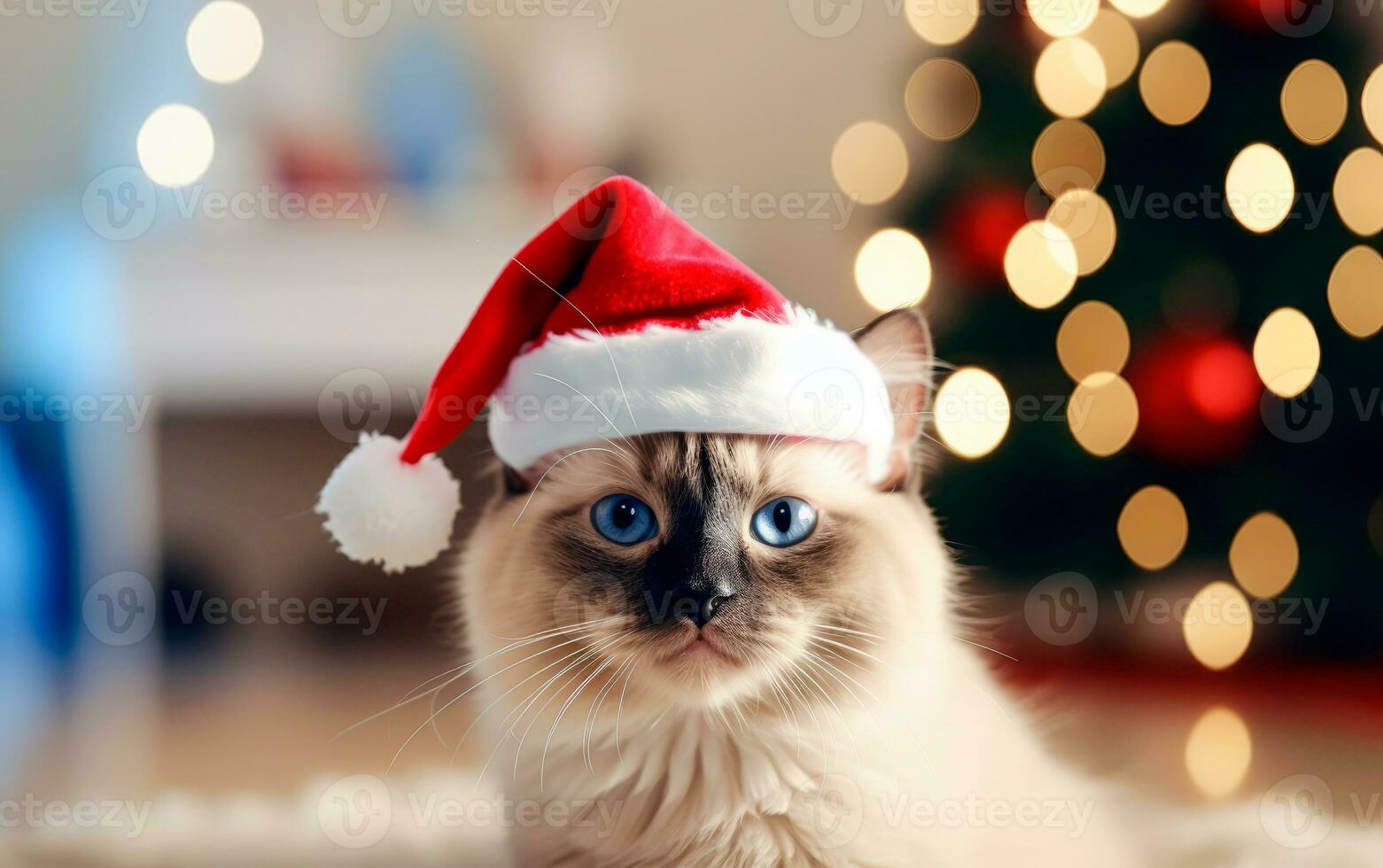 Cute cat in Santa Claus hat against blurred Christmas lights and copy space. Generate AI photo