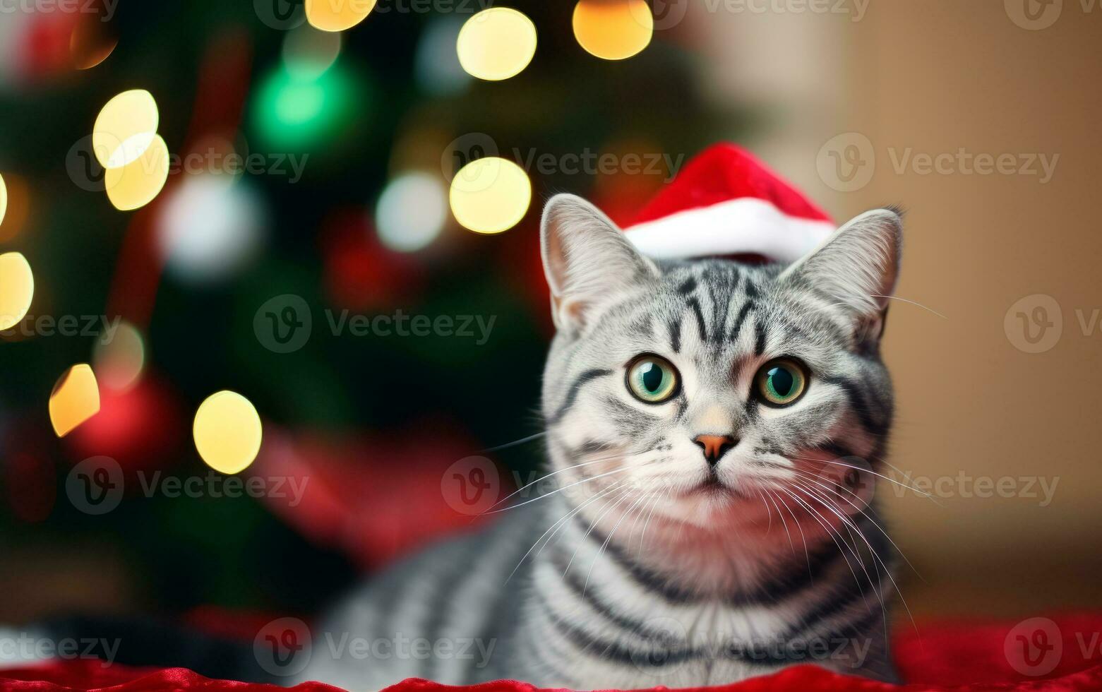Cute cat in Santa Claus hat against blurred Christmas lights and copy space. Generate AI photo
