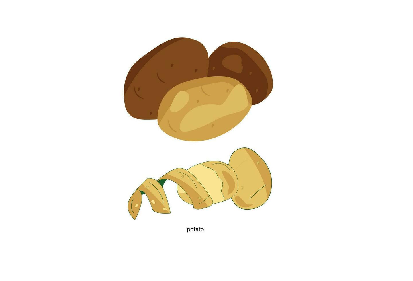A collection of potato icons including chips, pancakes, french fries, and whole root potatoes depicted in a cartoon realistic style. The vector illustration showcases a variety of harvest vegetables.