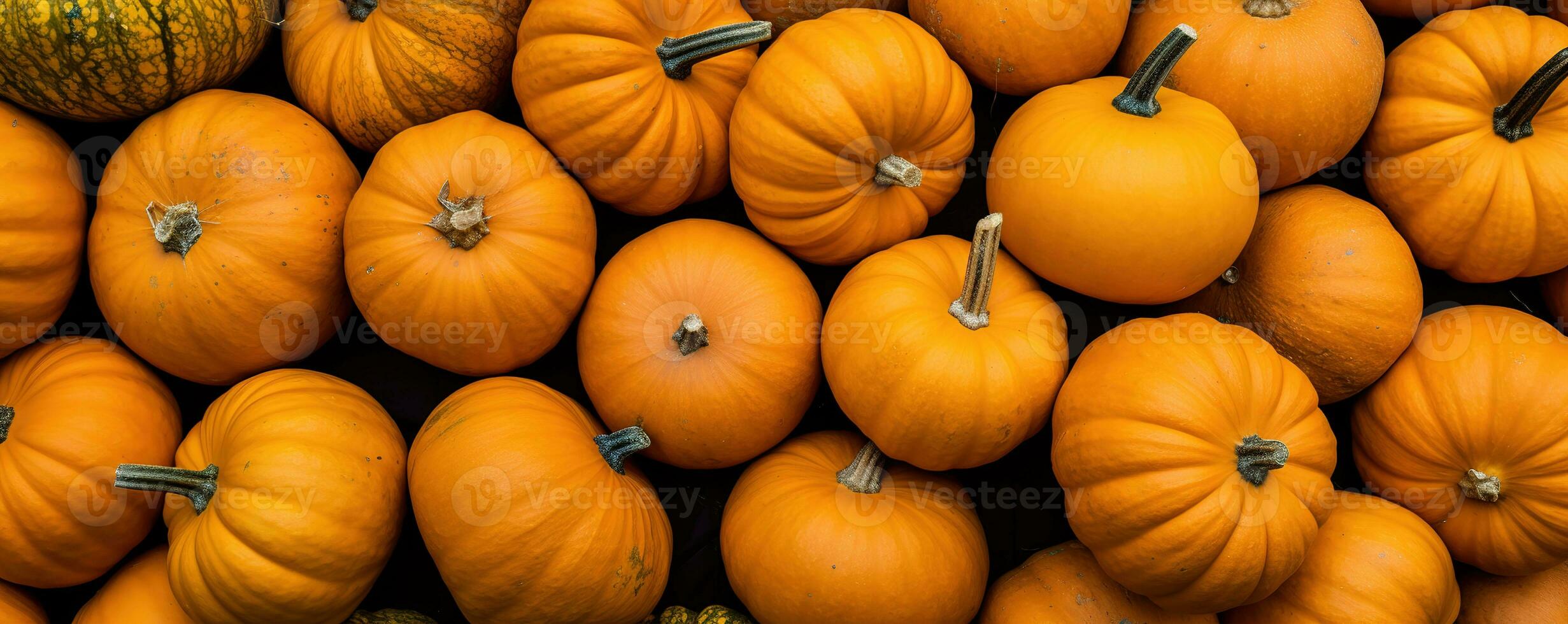 Several mini pumpkins at outdoor farmers market. Generative AI photo