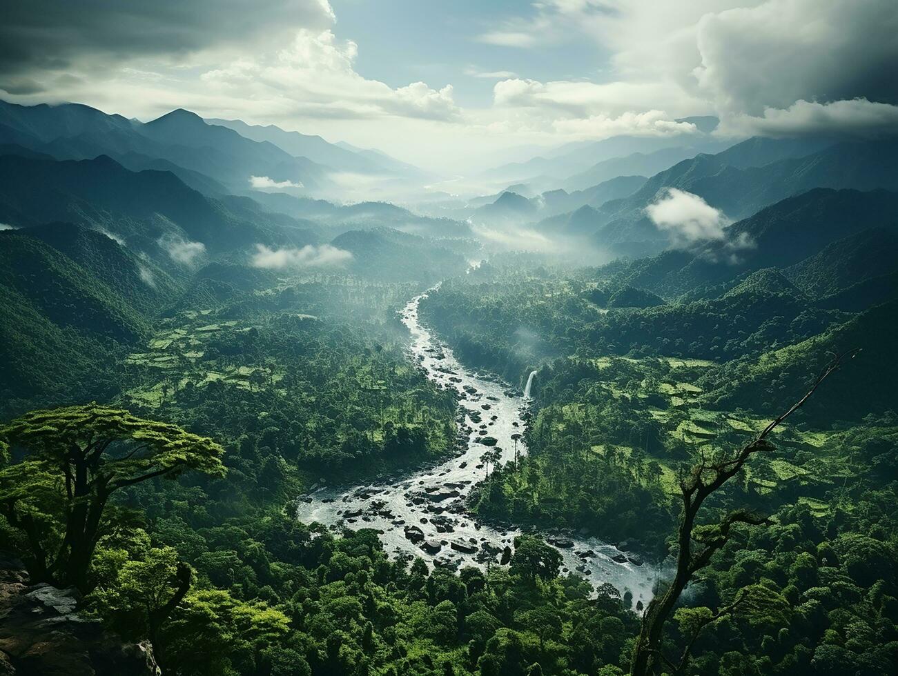 aéreo ver de lluvia bosque a el luz ai generativo foto