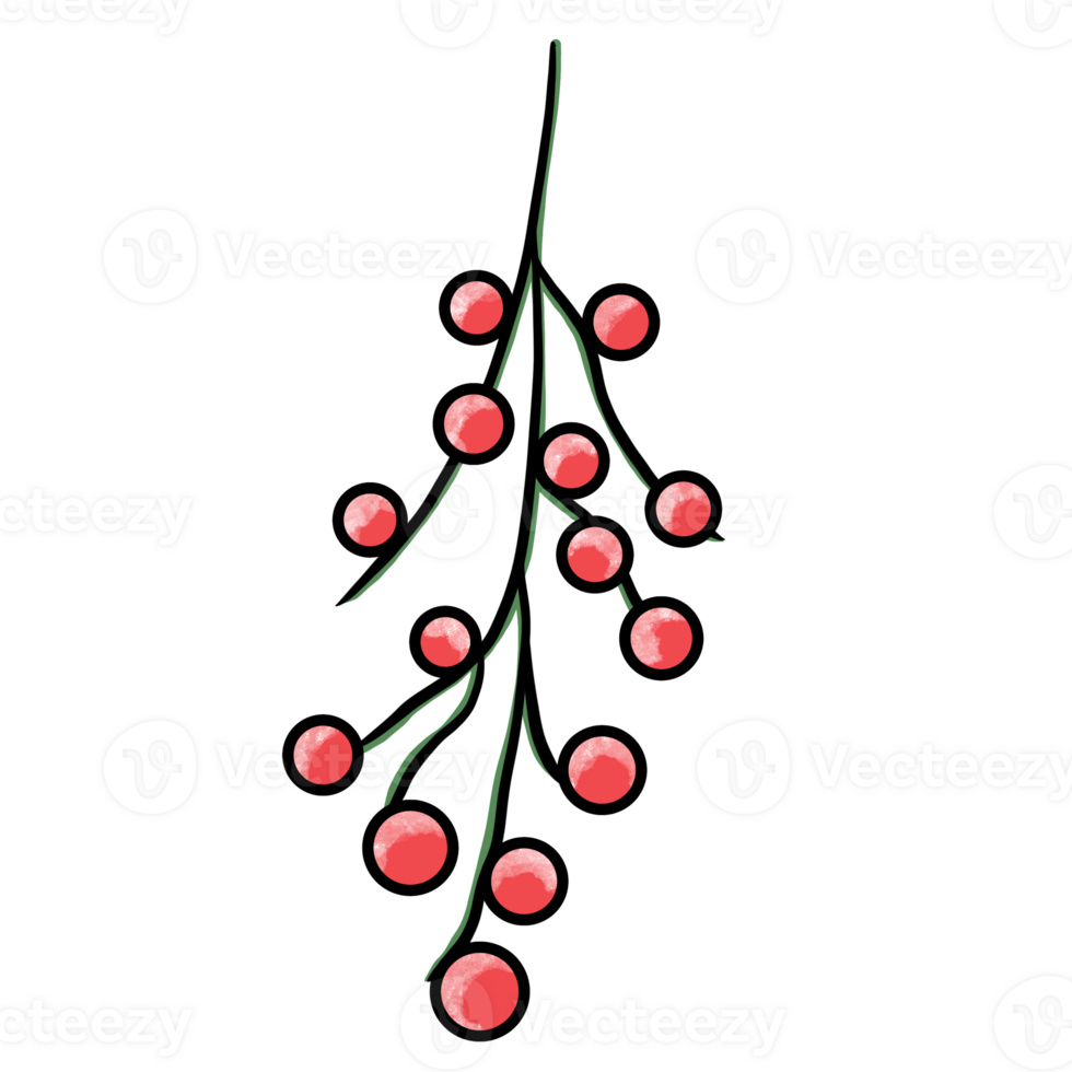 Red Currant, Berry png
