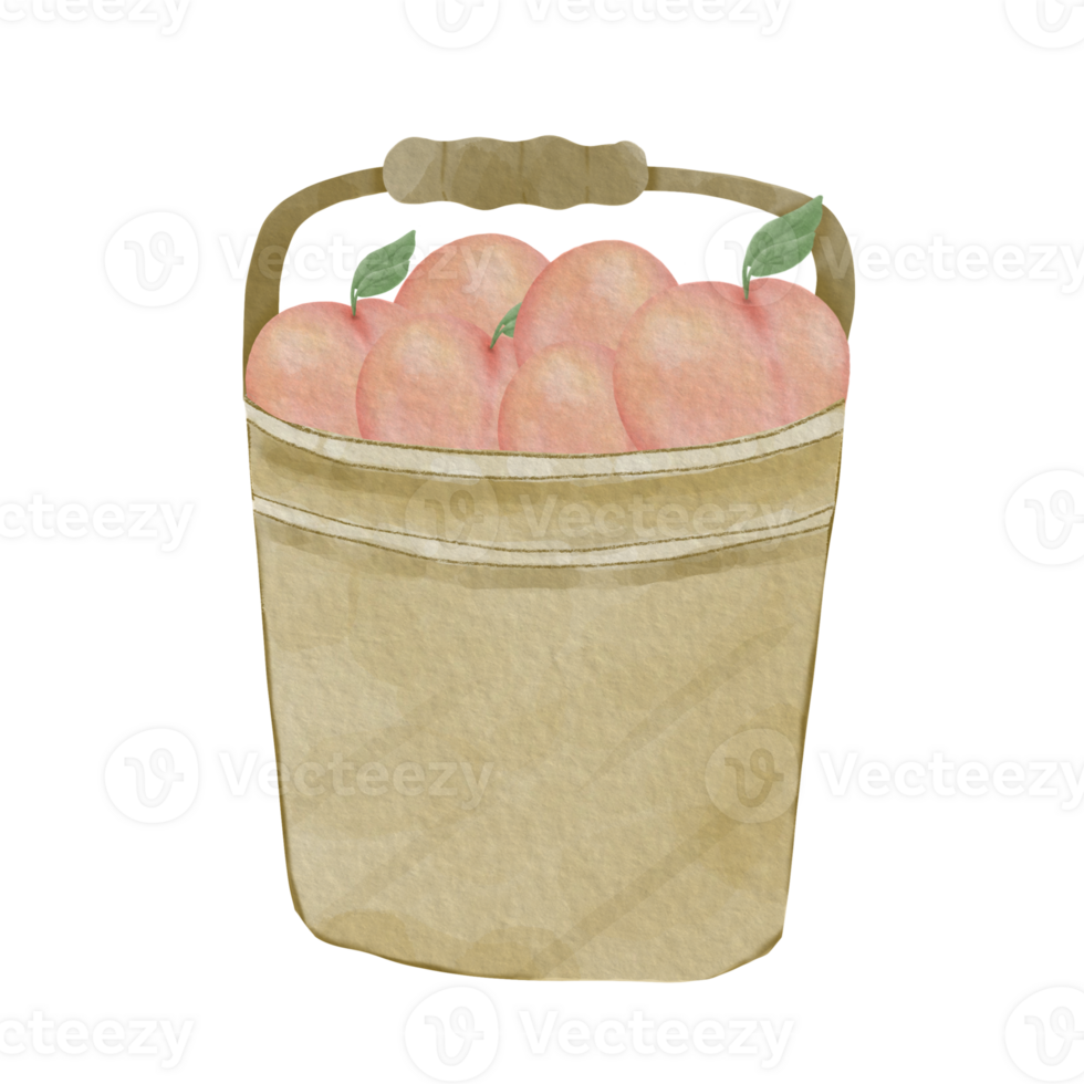 Fruits Basket Illustration 28115078 PNG fruits-basket-illustration-28115078-png