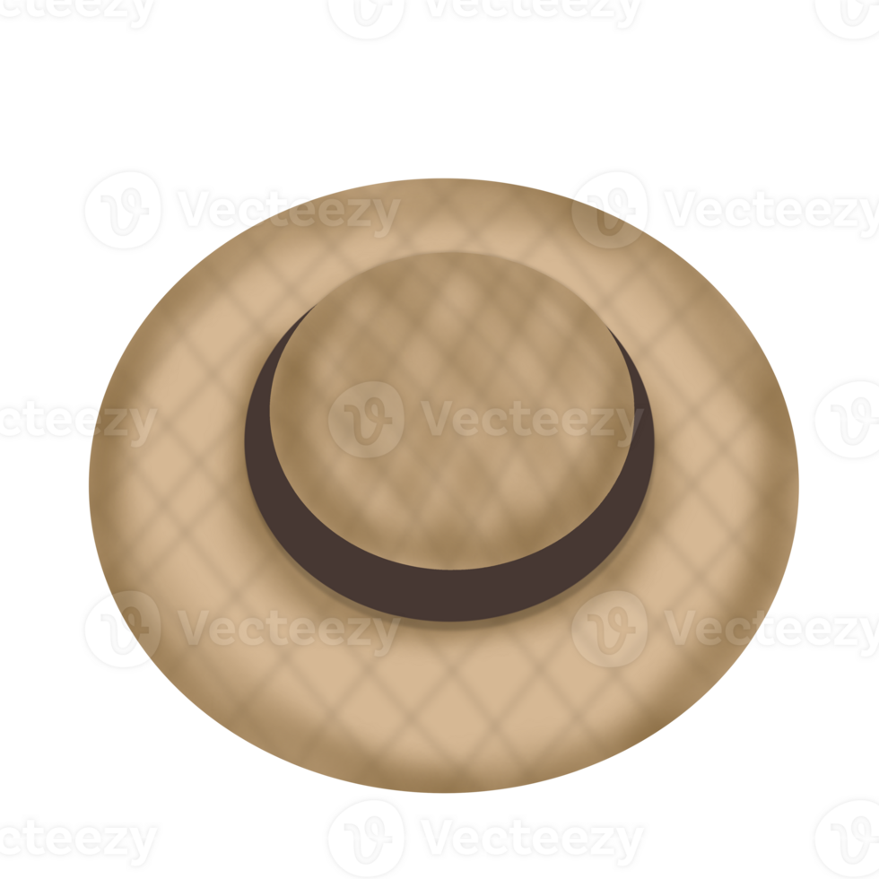 Brown Beach hat png