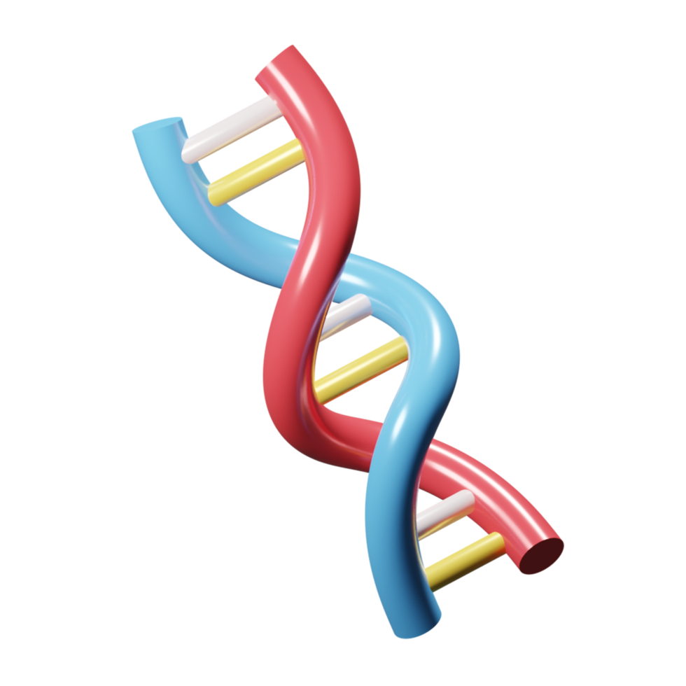 Back to School Preparation Education 3D rendering icon png