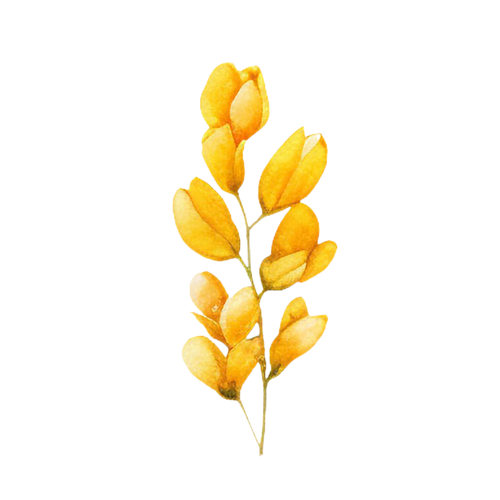 spring flower watercolor on isolated background. Created with Generative AI technology. png