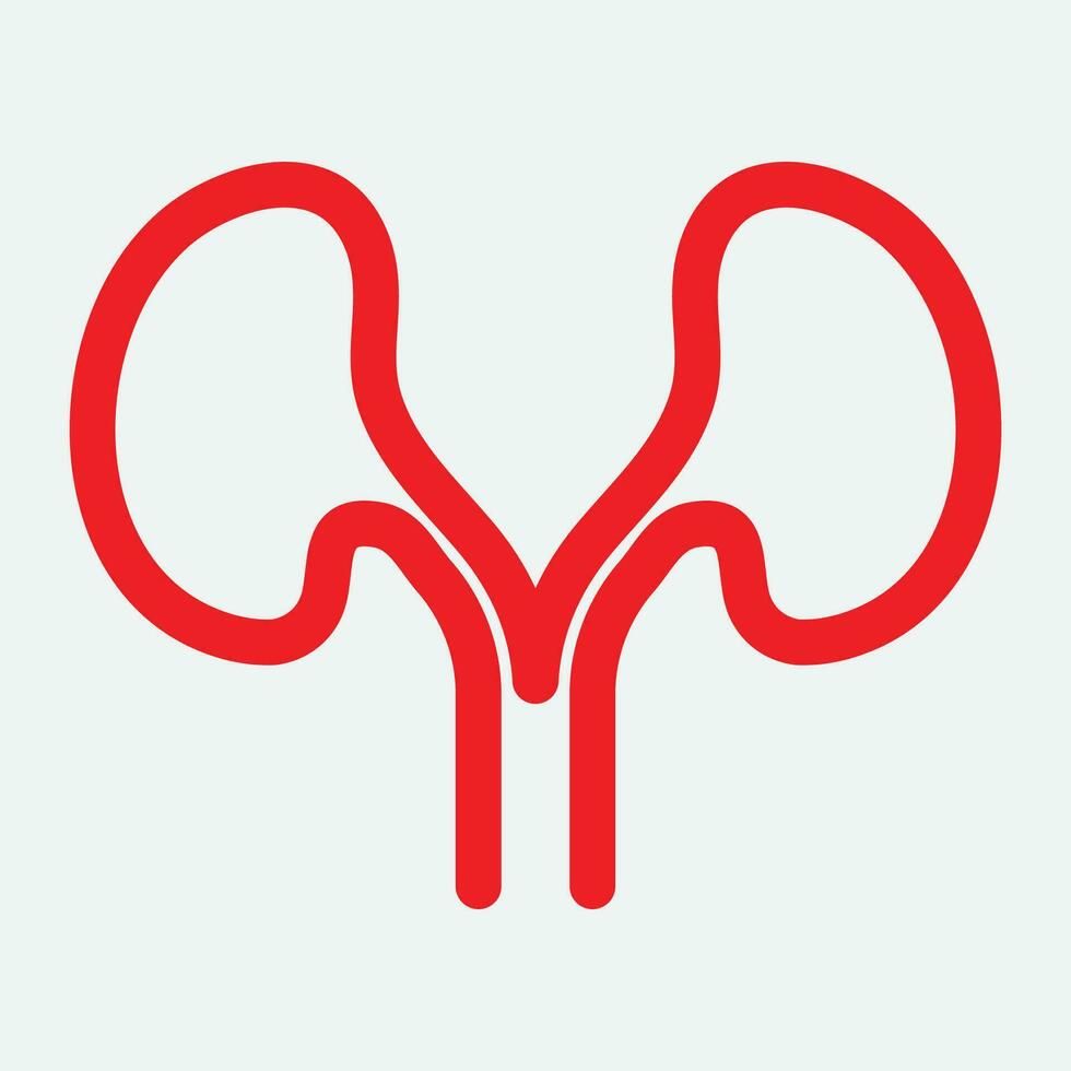 Kidney icon vector. vector