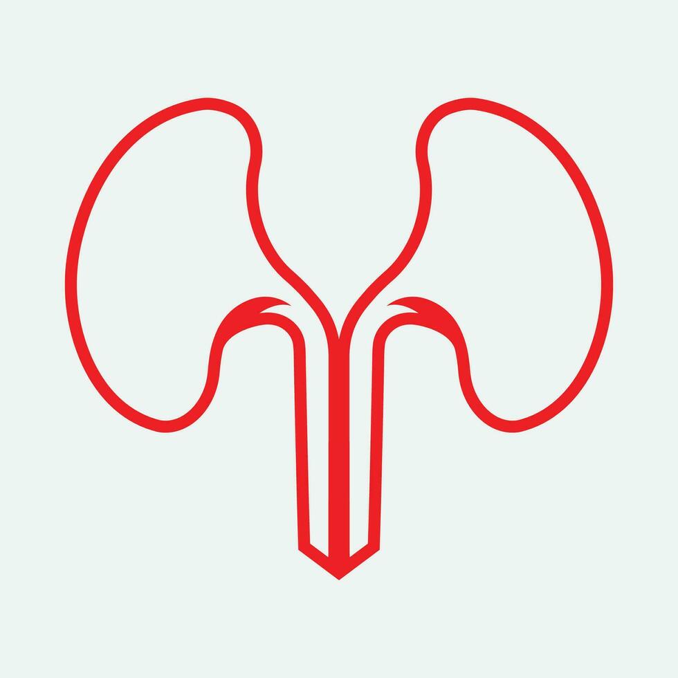 Kidney icon vector. vector