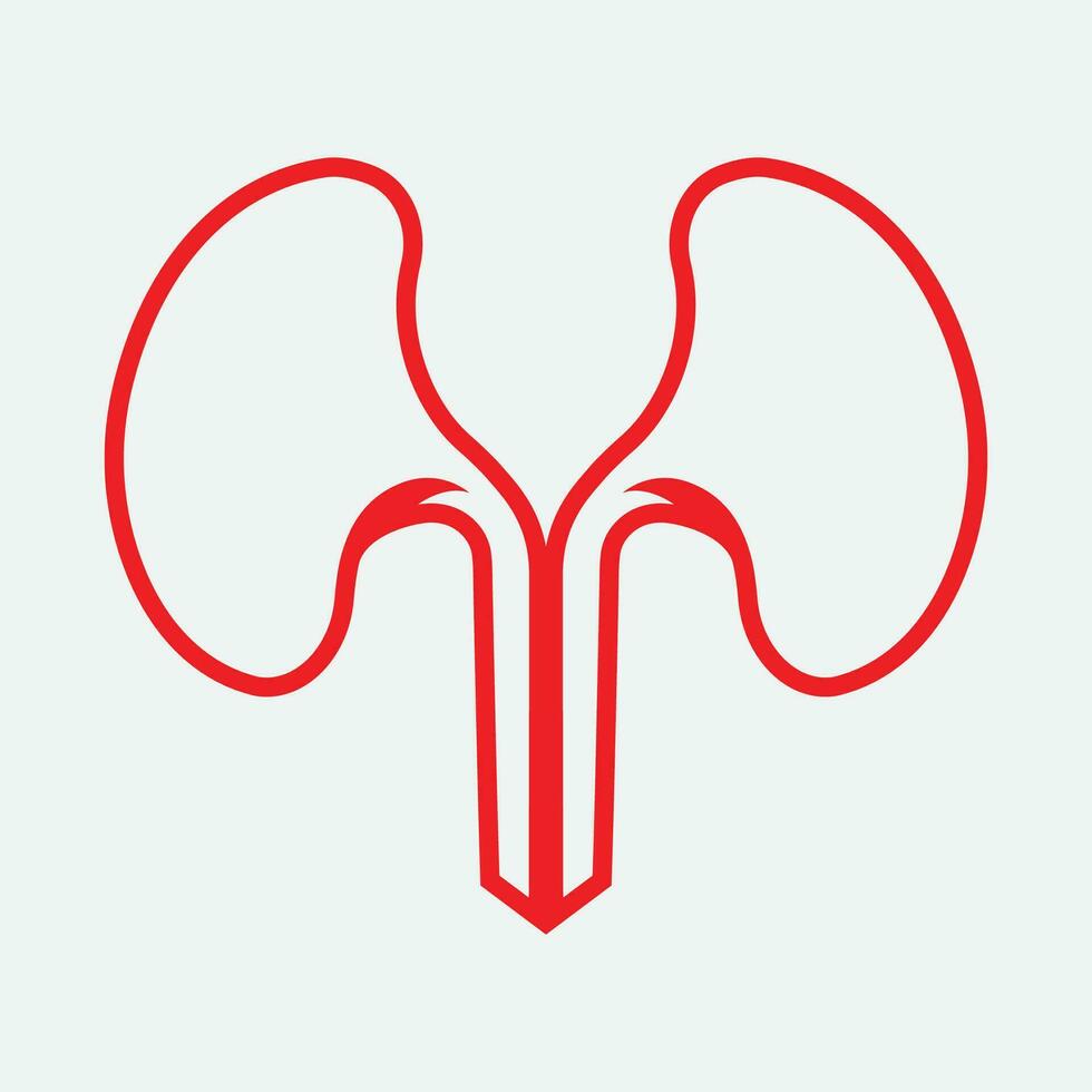 Kidney icon vector. vector