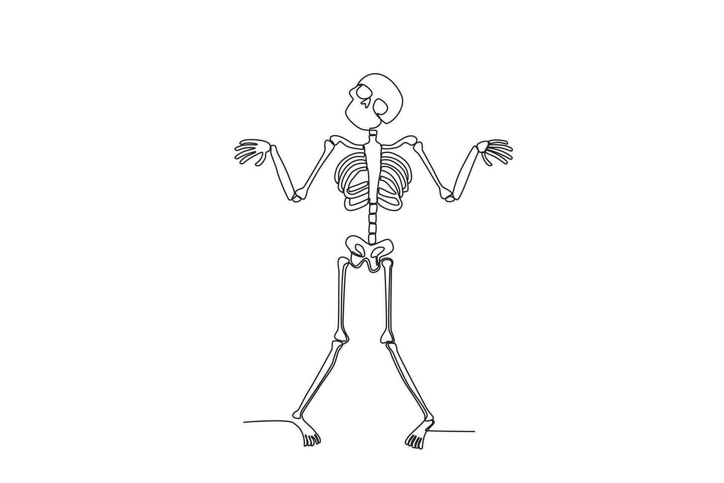 A terrifying human skeleton vector