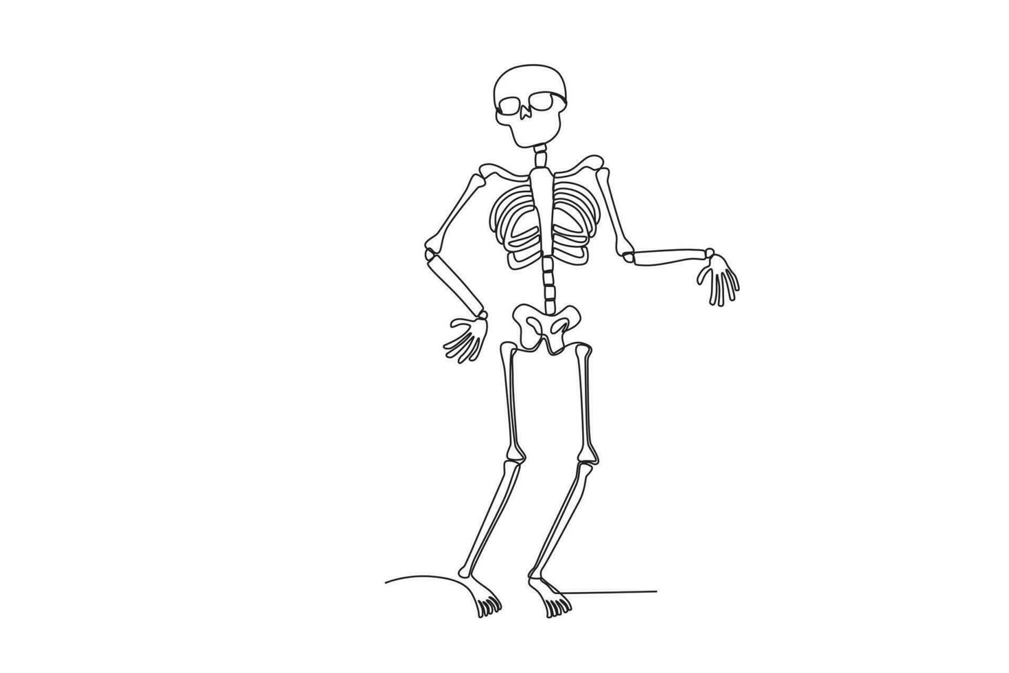 Illustration of a human skeleton vector