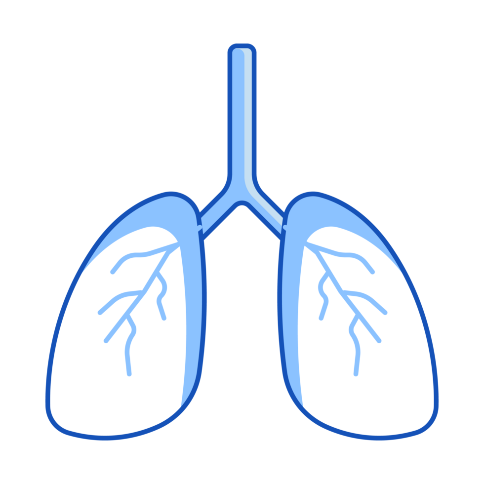 Lungs Set of Internal Organ Doodle Style png