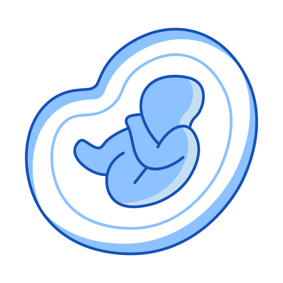 Fetus Set of Internal Organ Doodle Style png