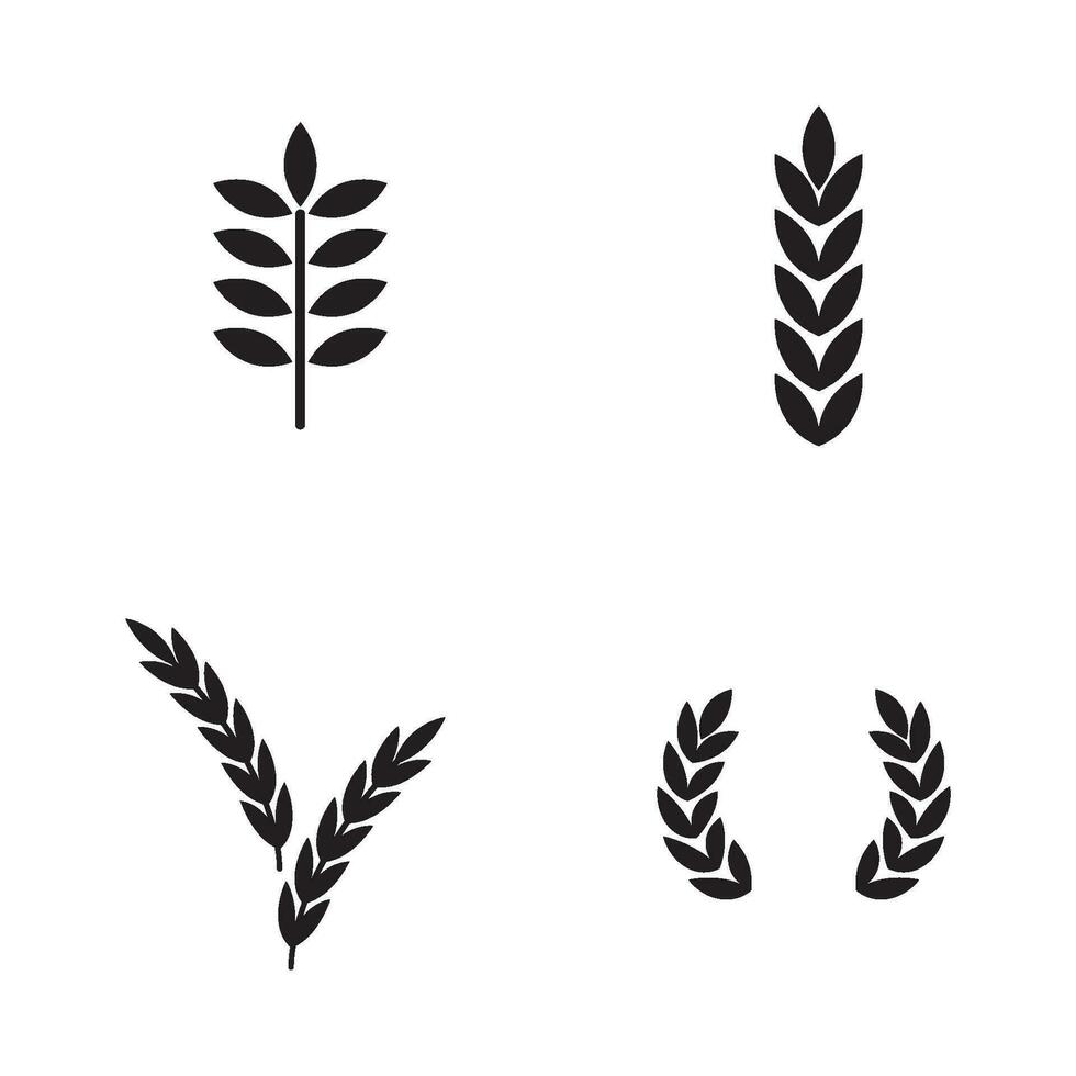 wheat icon vector