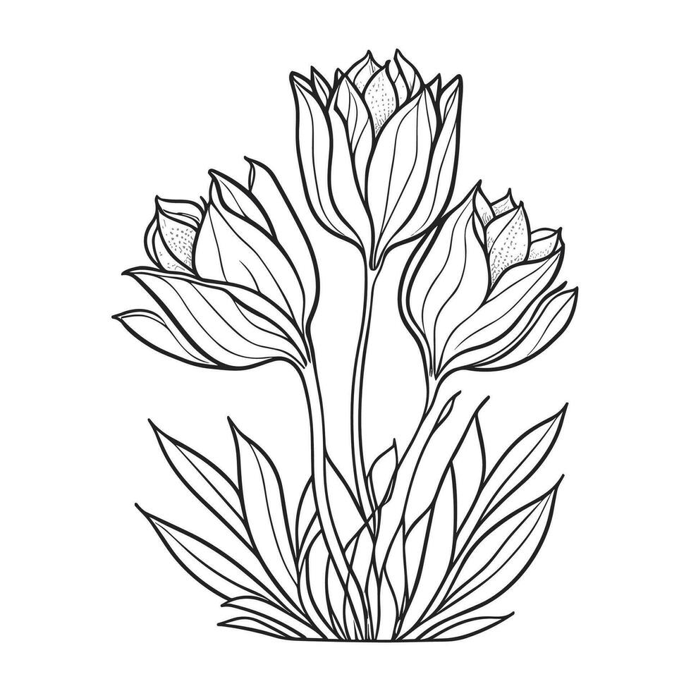 Free vector tulip line art
