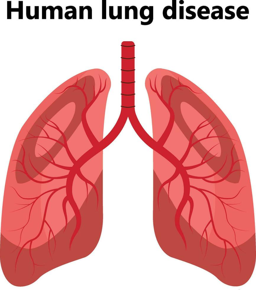Hand-drawn illustration of human heart anatomy. Educational diagram showing blood flow with main parts labeled. Vector illustration easy to edit