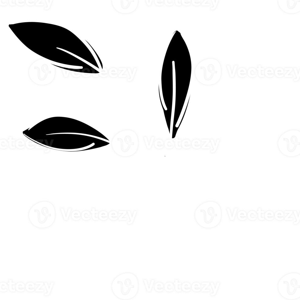 Hand Drawn Line Art Plants png