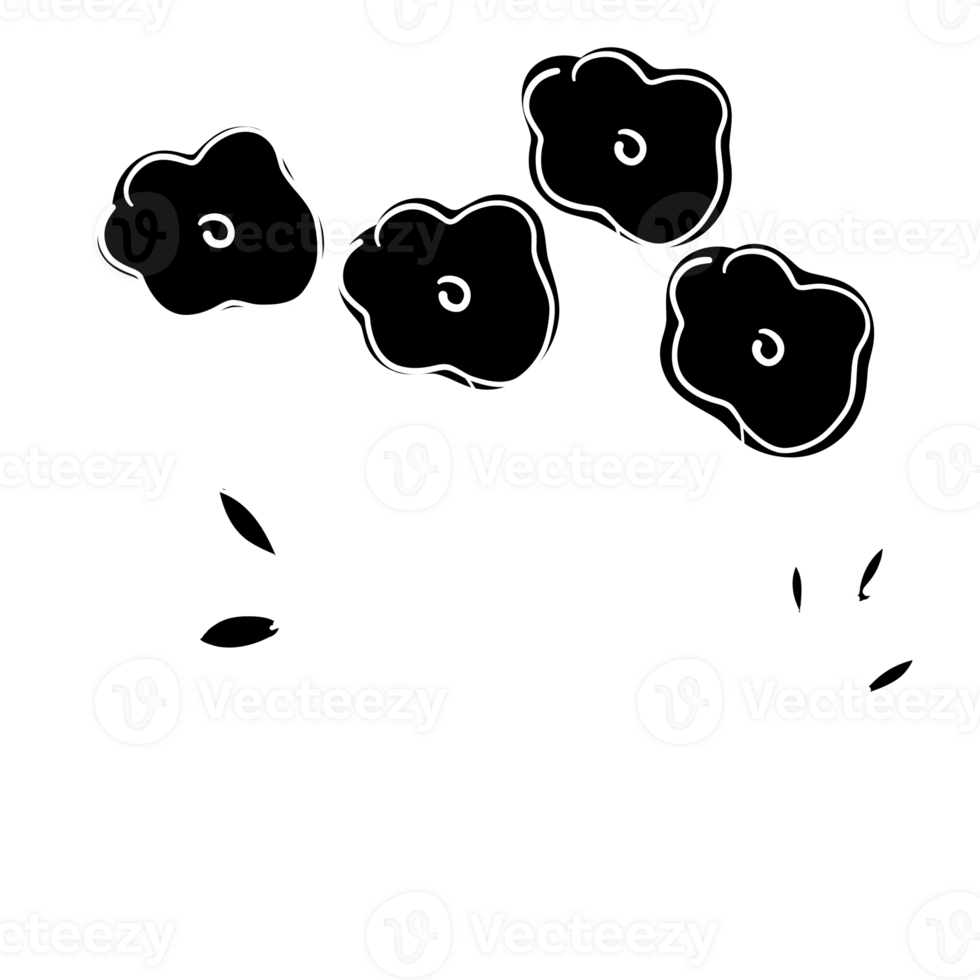 Hand Drawn Black and White Flowers png
