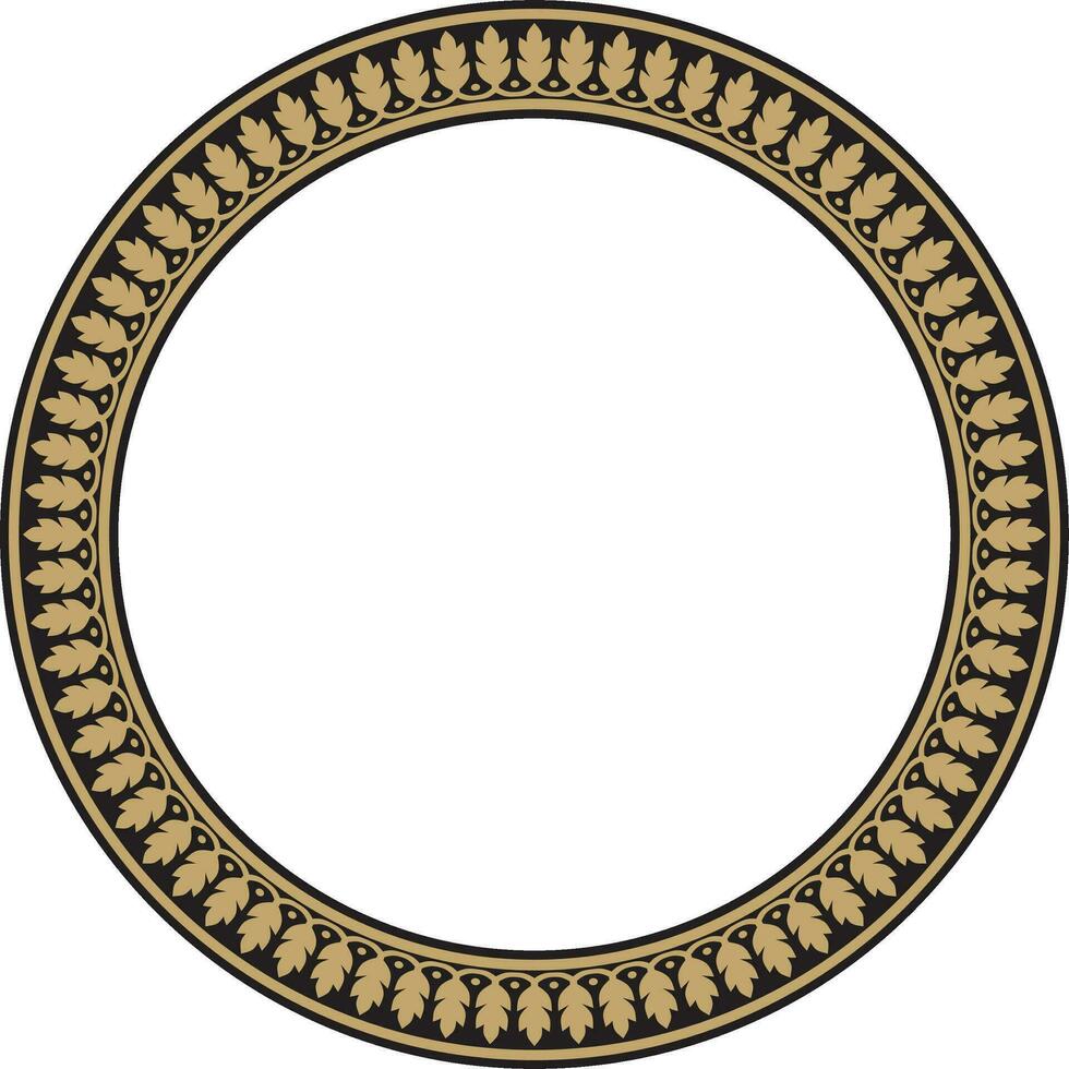 Vector round gold and black Indian national ornament. Ethnic plant circle, border. Frame, flower ring. Poppies and leaves