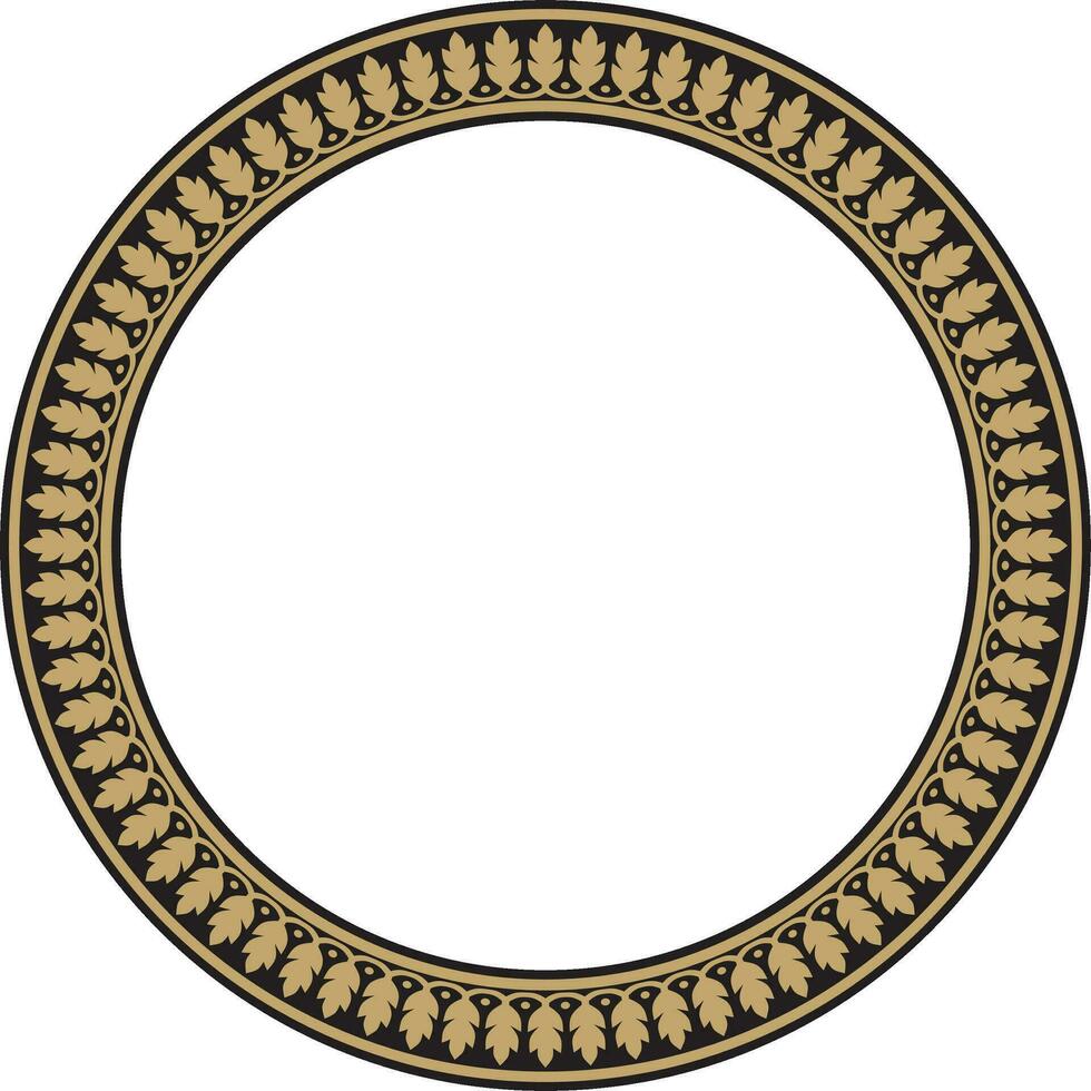 Vector round gold and black Indian national ornament. Ethnic plant circle, border. Frame, flower ring. Poppies and leaves