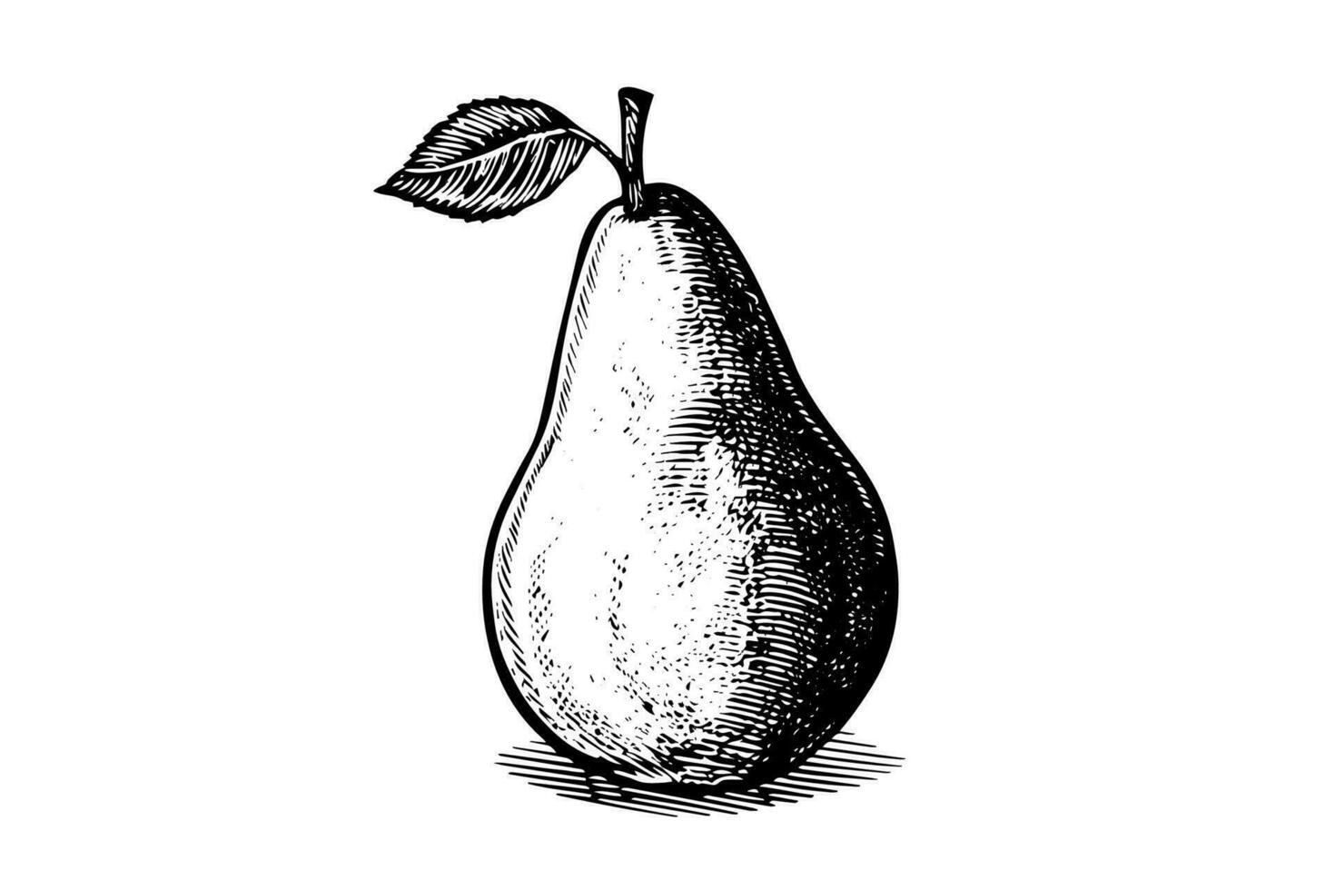 Pear. Ink sketch isolated on white background. Hand drawn vector illustration.