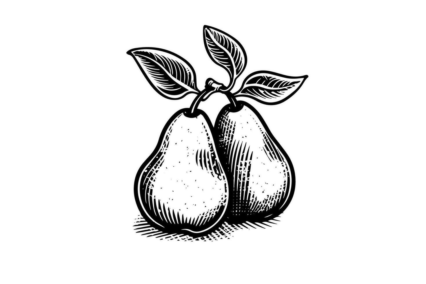 Set of pears. Ink sketch isolated on white background. Hand drawn vector illustration.