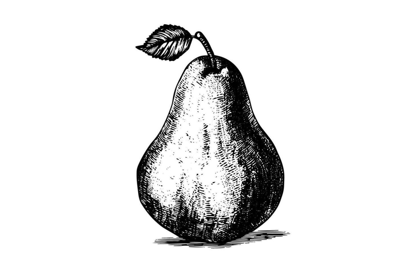 Pear. Ink sketch isolated on white background. Hand drawn vector illustration.