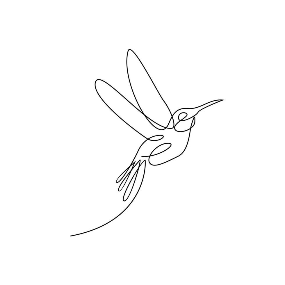 colibrí línea ilustración vector