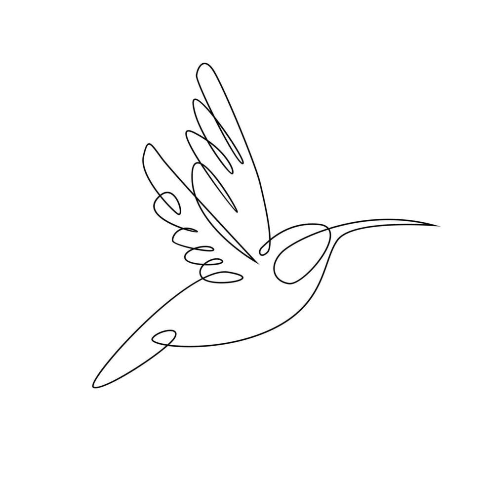 hummingbird line illustration vector