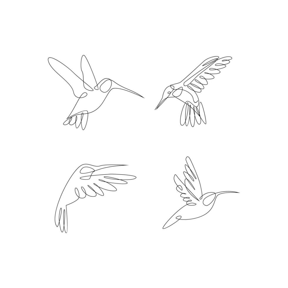 hummingbird line illustration vector