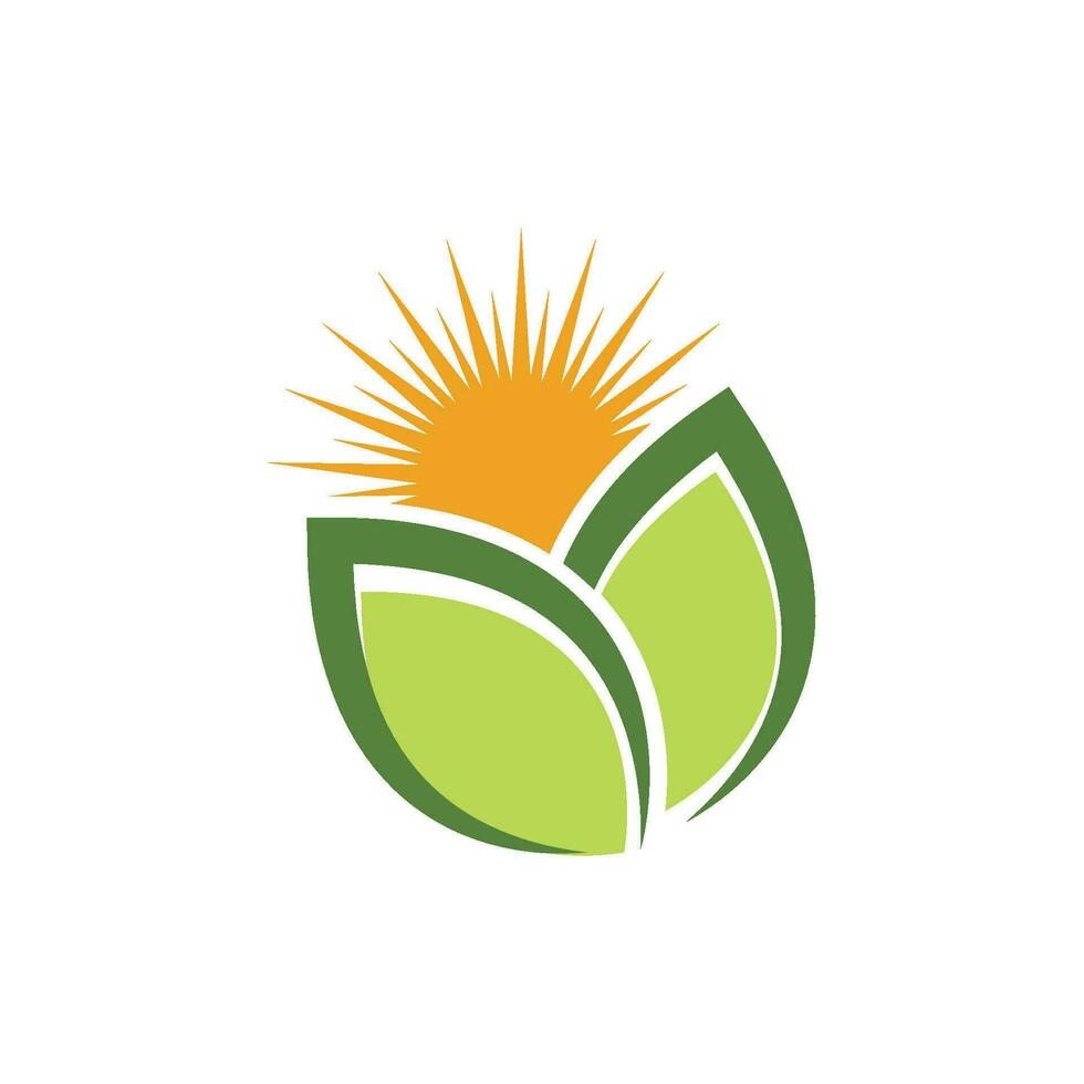 Logos of green Tree leaf ecology vector