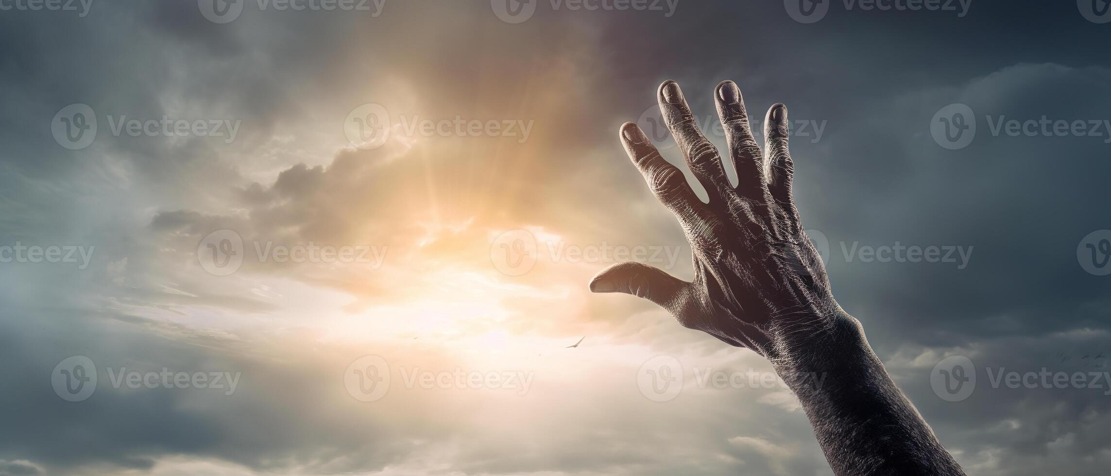 Zombie hand rising out of a graveyard in spooky night. Halloween concept. photo