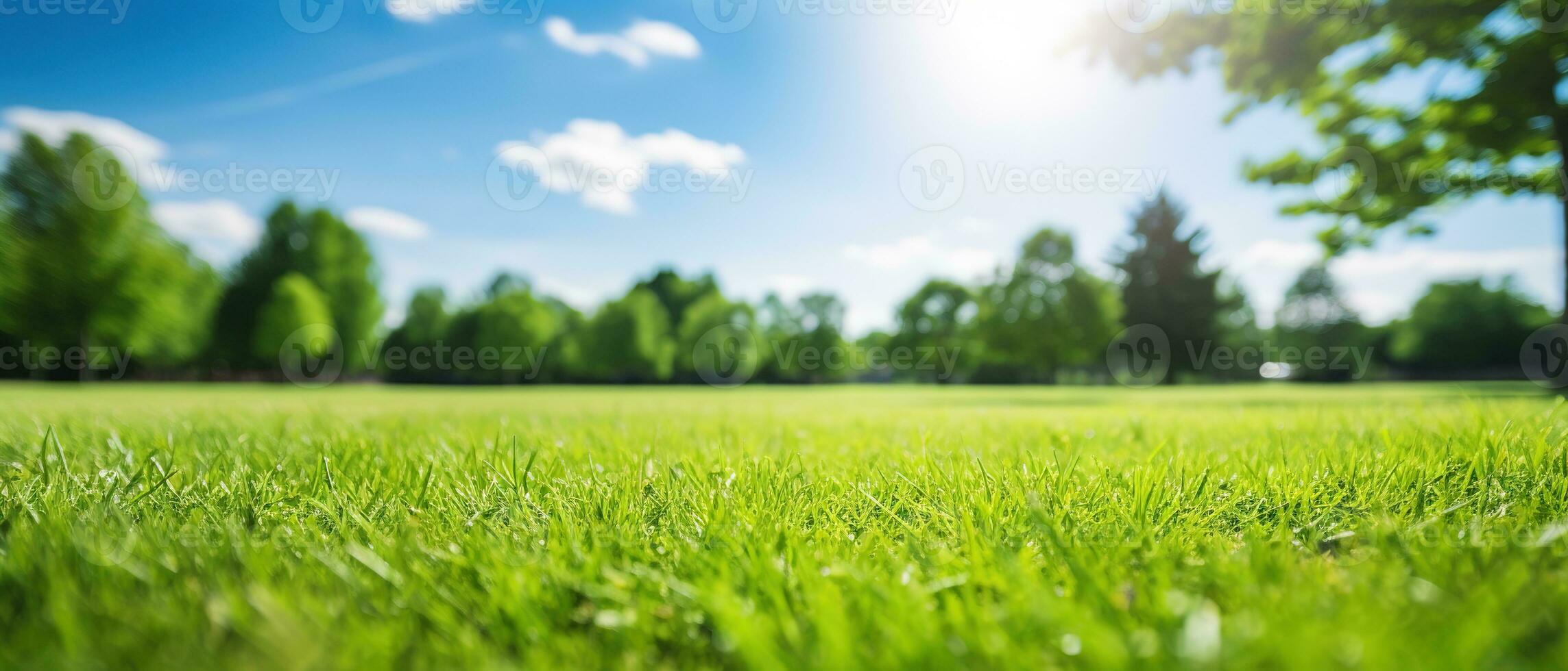 borroso antecedentes de primavera naturaleza con un bien recortado césped en contra un azul cielo y nubes en un brillante soleado día. generativo ai foto