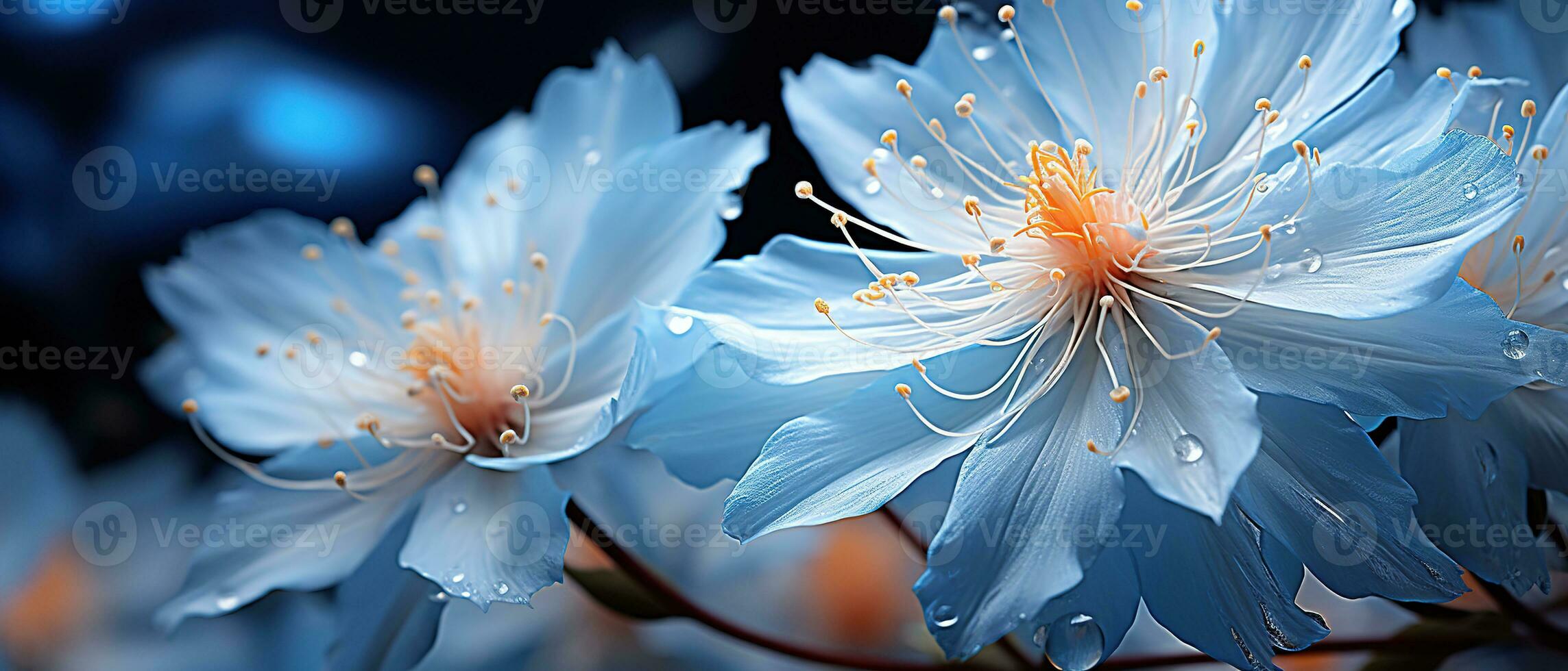 Close up of Blue flowers with drops of water on dark background. Beautiful Macro Photo. Colorful Flowers. Generative AI photo