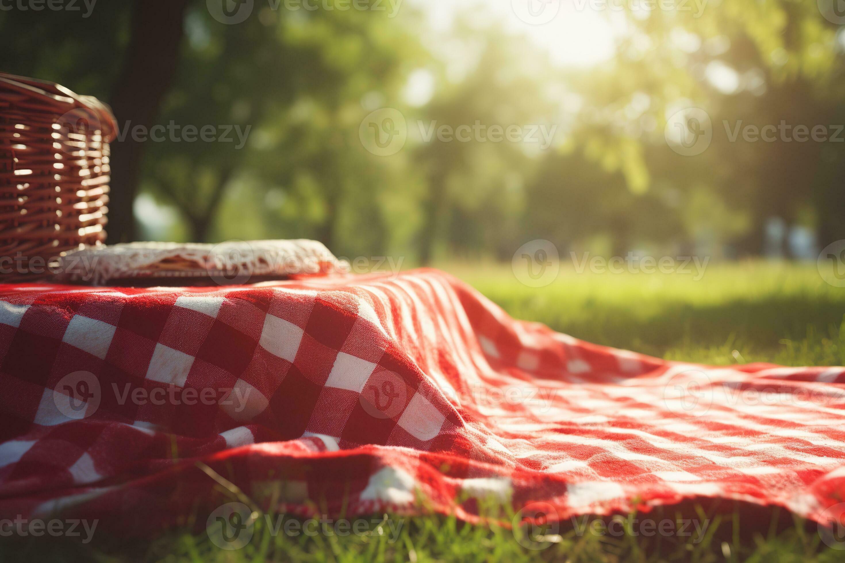 Red and white plaid picnic blanket on top of a green field in sunny day