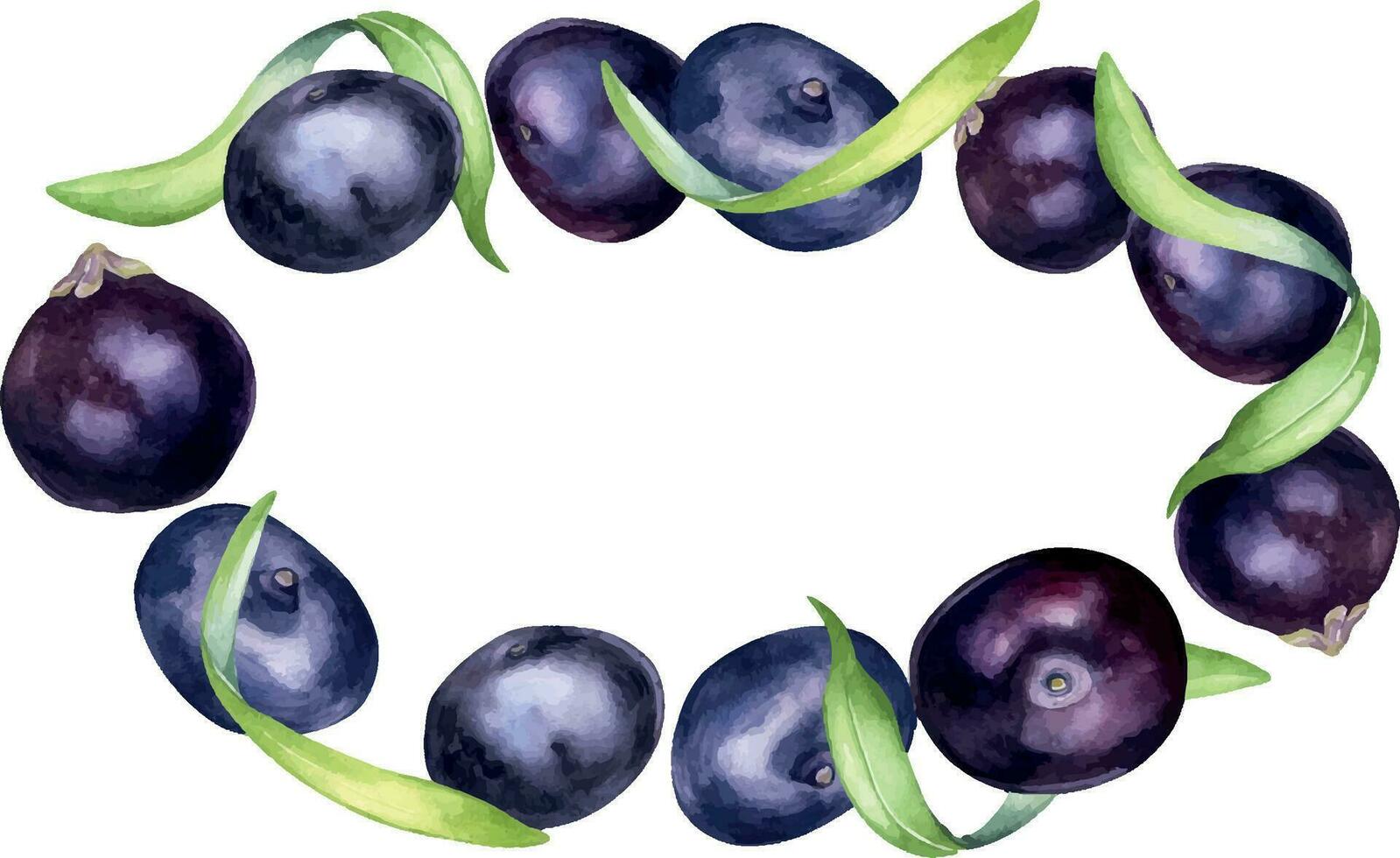 guirnalda de acai bayas y palma hojas acuarela ilustración aislado en blanco antecedentes. exótico Amazonas pequeño púrpura bayas, tropical Fruta mano dibujado. diseño elemento para embalaje, etiqueta vector