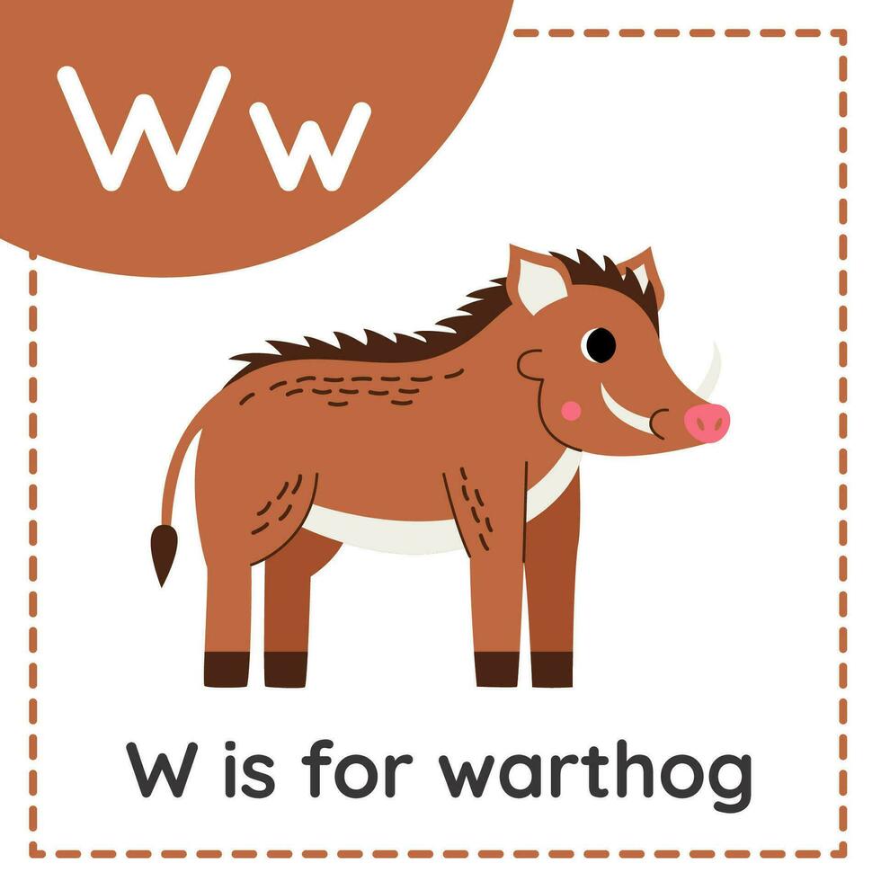 Learning English alphabet for kids. Letter W. Cute cartoon warthog vector