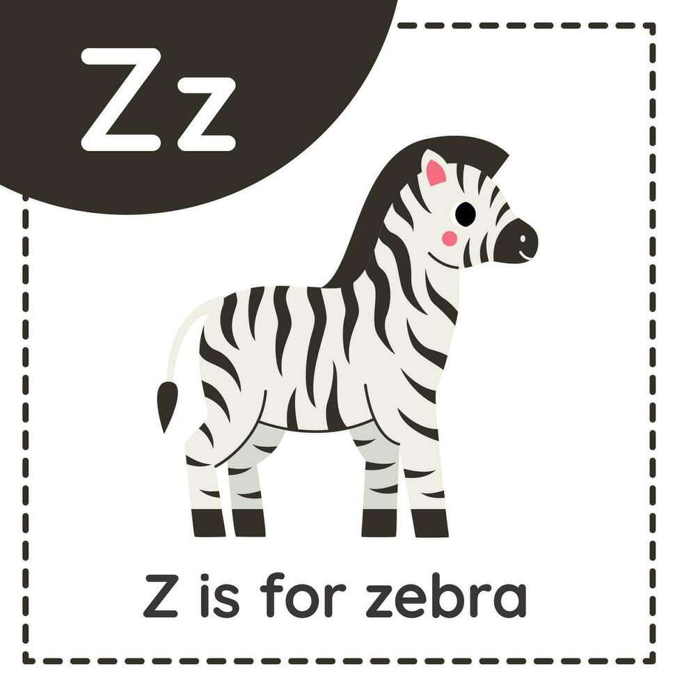 animal alfabeto tarjeta de memoria flash para niños. aprendizaje letra z. z es para cebra. vector