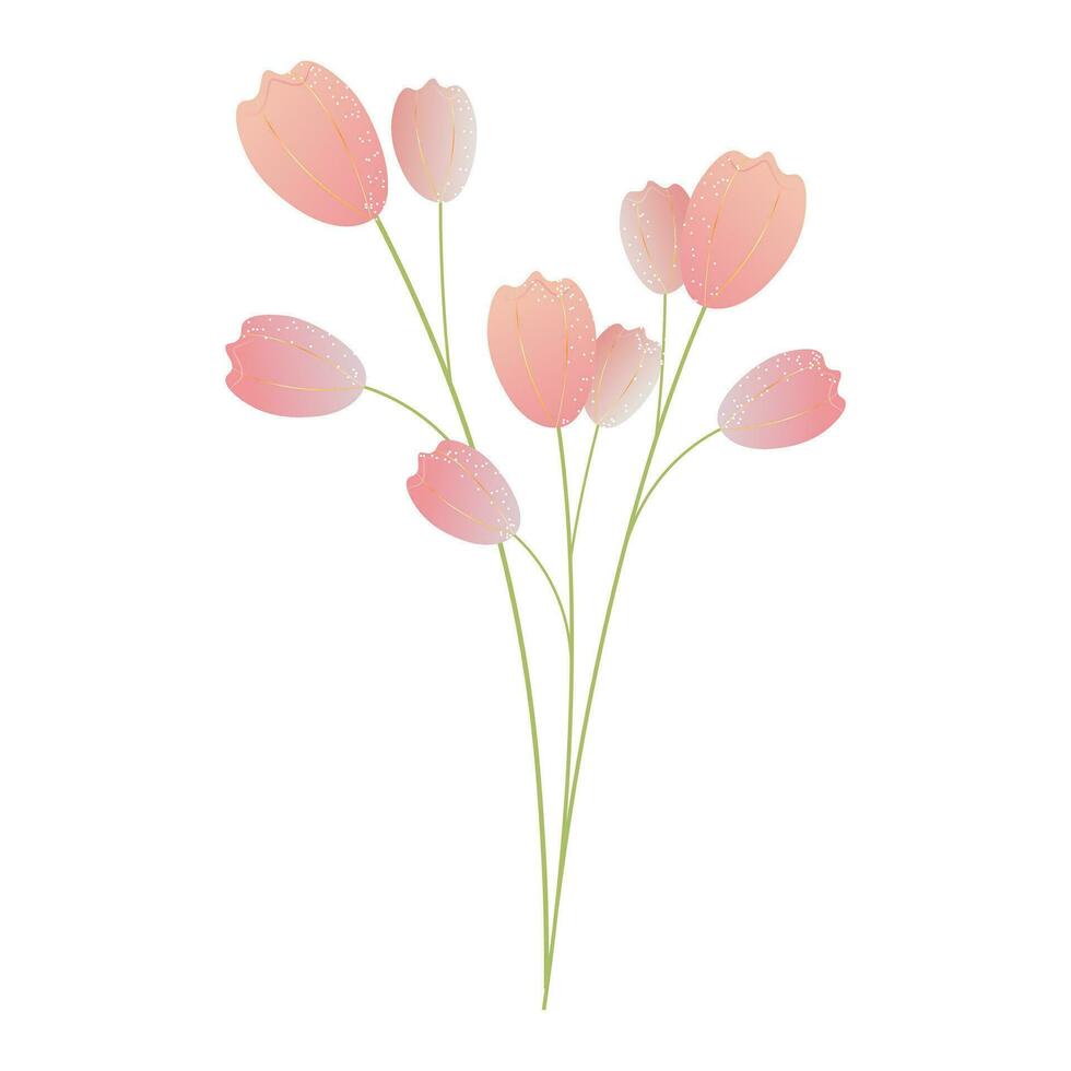 tulip flower clipart vector