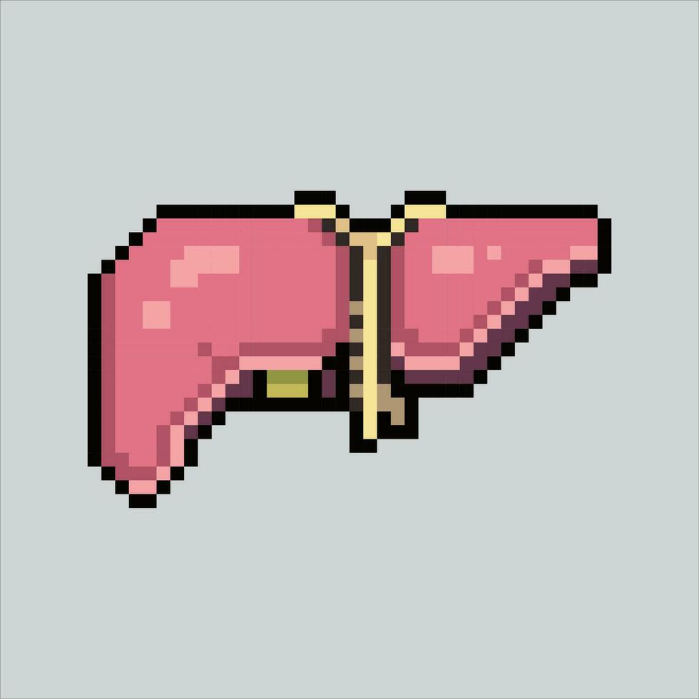 Pixel art illustration Liver. Pixelated Liver. Liver icon pixelated for the pixel art game and icon for website and video game. old school retro. vector