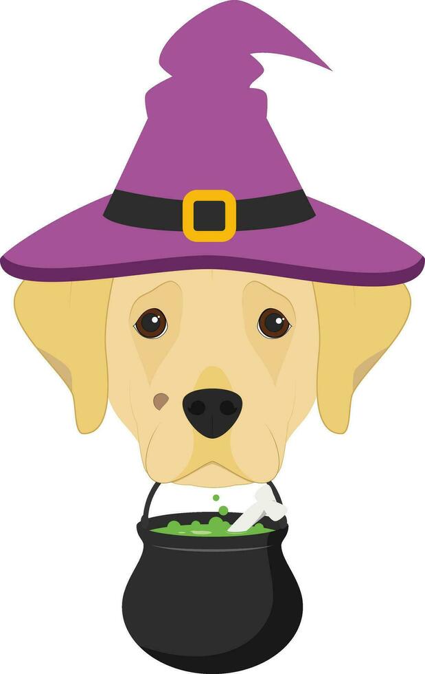 Halloween greeting card. Labrador Retriever dog dressed as a witch with purple hat and a cauldron in the mouth vector