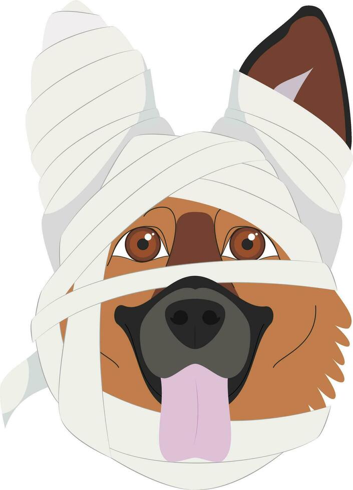 Halloween greeting card. German Shepherd dog dressed as a mummy vector