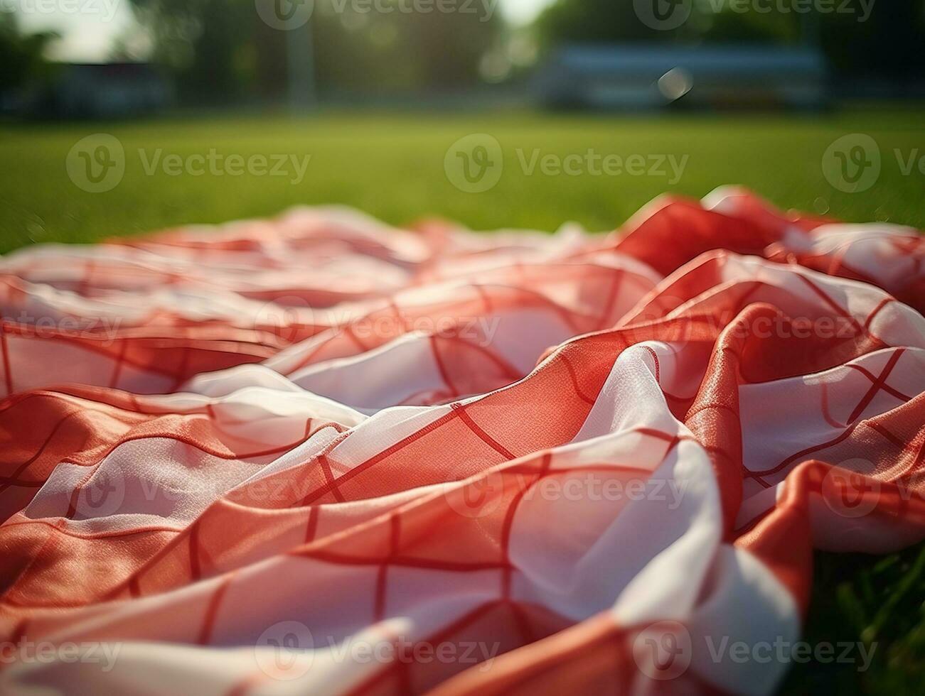 Red and white plaid picnic blanket on top of a green field in sunny day on grass of lawn in summer park. Blurred Background. Generative AI photo