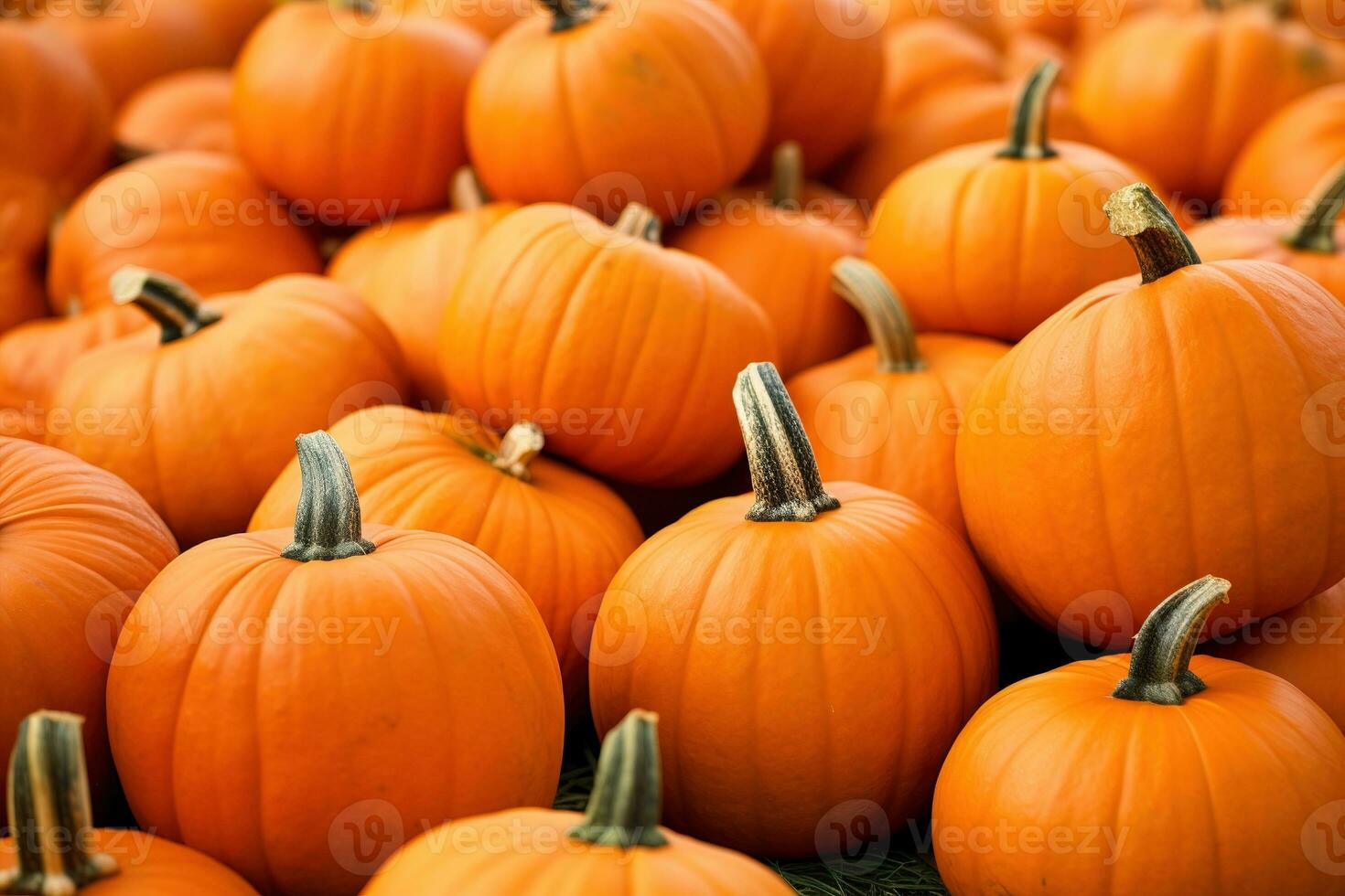Several mini pumpkins at outdoor farmers market. Generative AI photo