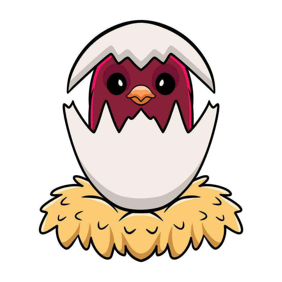 Cute pompadour cotinga bird cartoon inside from egg vector