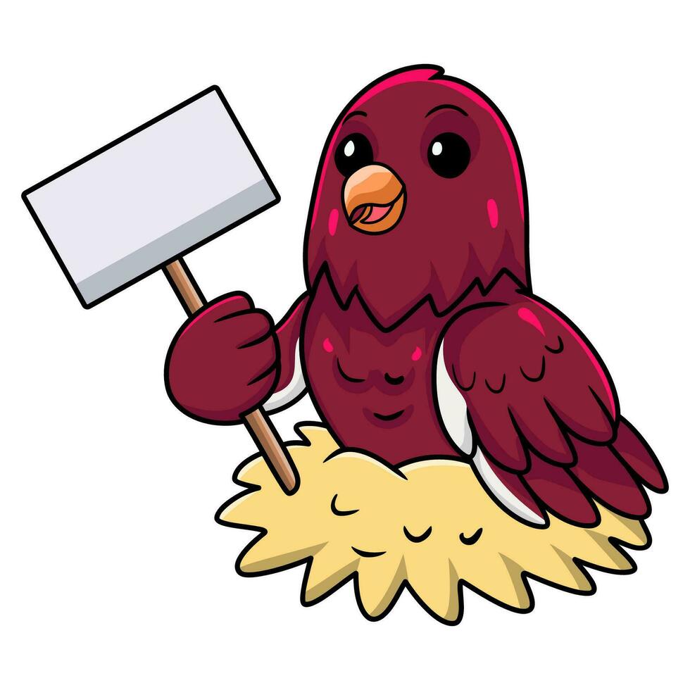 Cute pompadour cotinga bird cartoon holding blank sign vector